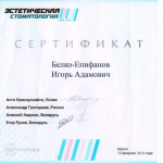 Сертификат Белко-Епифанов И.А.